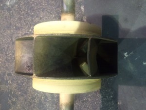 Bronze impeller